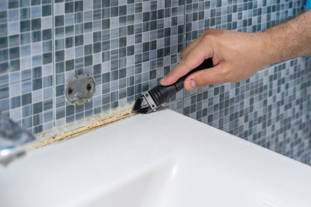 Best Mold Cleaning Services  in Ridgway, CO